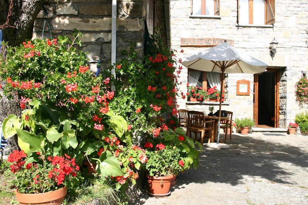 Apartamentos Casa Gallan Sarvisé Dış mekan fotoğraf